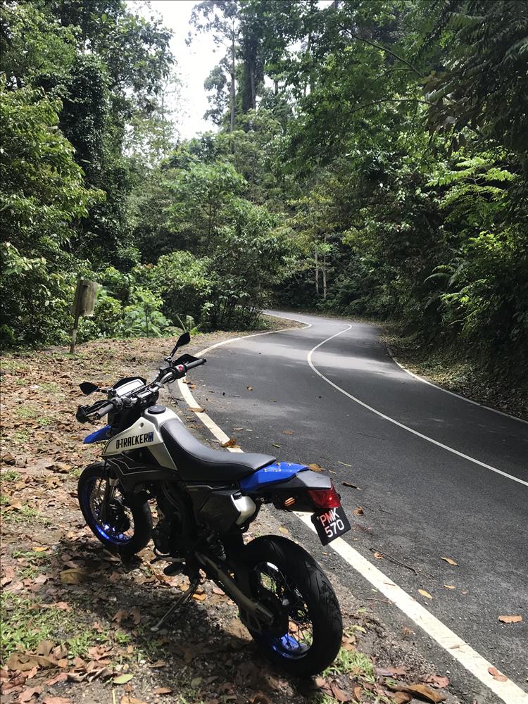 Posted Image